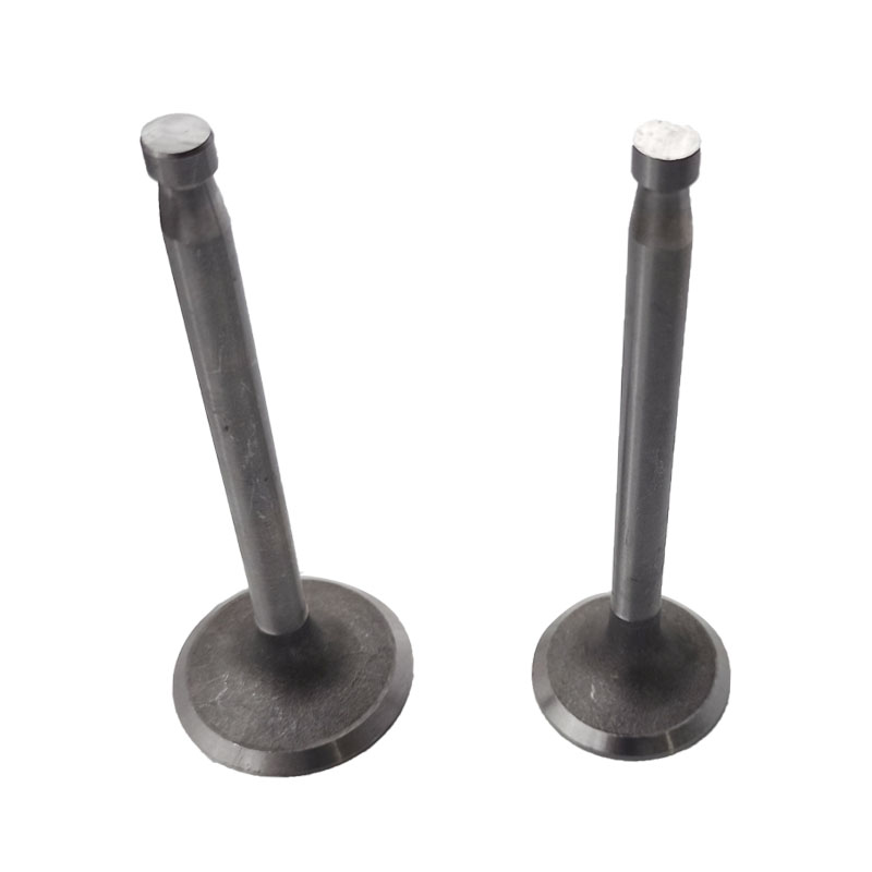 单缸柴油机配件 气门四配R175 S195 1100 S1115 L28 11件