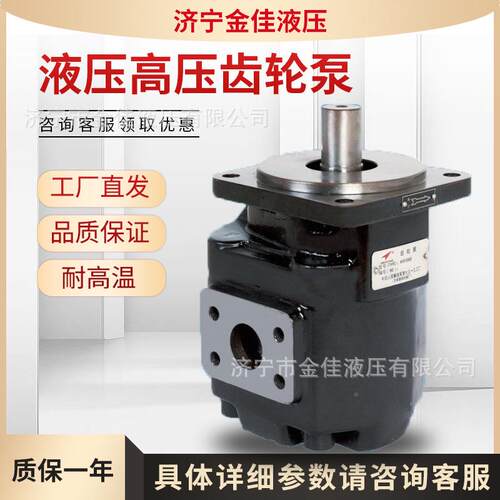 原厂泵直供齿轮JHPJ206/2040HP2100/2ICS063双联泵高压3泵增压泵
