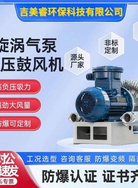 旋MDE涡气泵B-.91R0低噪音下高排风离心式压鼓风机125kw吹吸两用