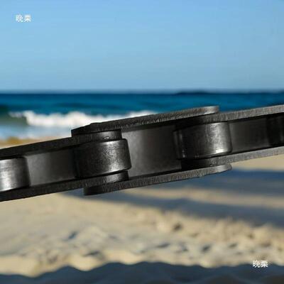 全自QHC动洗车机链条/其/林顿/清道夫/蓝迪天/迈/麦斯百威锐他