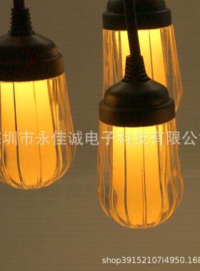 EDL节能庭院装饰氛围户外装饰亮化露营发光灯灯2YJC-5M-1灯20V