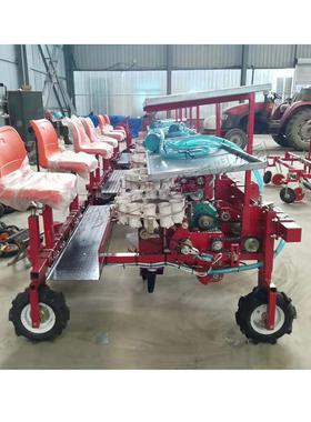 蔬菜基地种植ELY秧苗移栽机拖种机后置式秧苗植机蔬苗菜移拉苗机