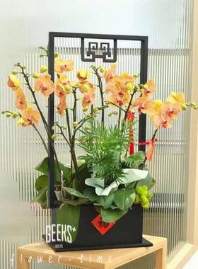 迪克森新兰中式蝴蝶花仿真植物花盆简约rbjj1218轻奢年宵花盆架栽