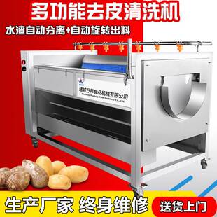 不锈钢红景天毛刷去泥机 商用葛根去泥机 草乌清洗机产地货源