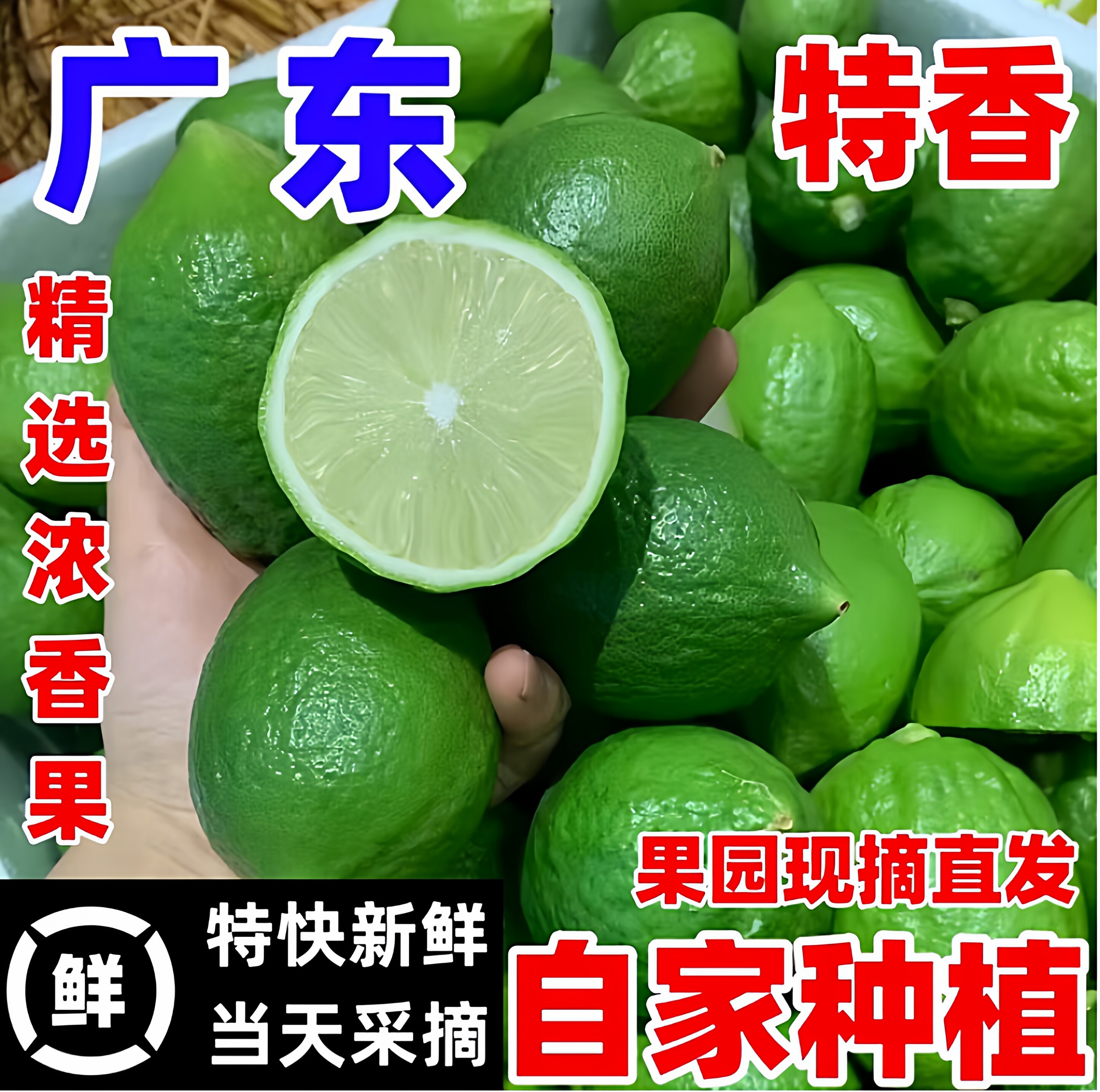 百果袋广东正宗无籽香水柠檬新鲜现摘皮薄多汁本土果园直发