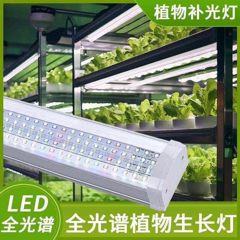 全光谱多肉补光灯家用上色防徒长室内植物育苗LED生长补光灯管,鲜花速递/花卉仿真/绿植园艺,割草机/草坪机,淘宝优惠券,粉丝福利购,淘宝优惠卷