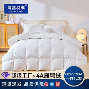 鸿基95白鸭绒羽绒被除粉尘净味处理大朵番鸭绒被加厚红嘴雁鸭绒被