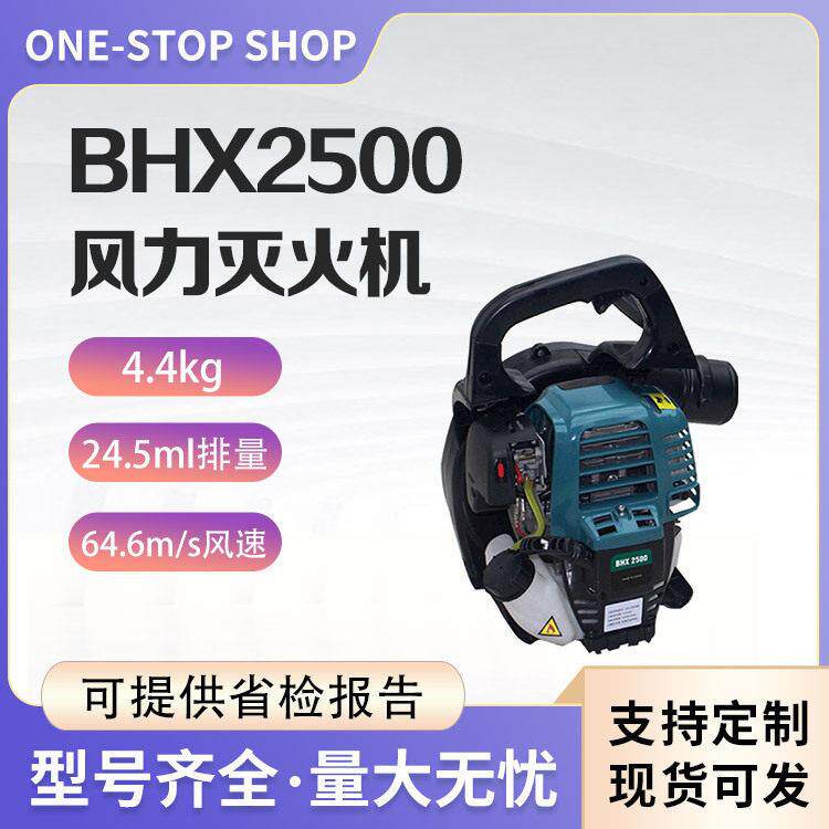 消防应急救援扑火器多功能风力灭火机BHX2500便携式道路灰尘吹风