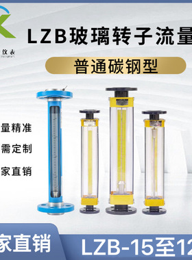 常州常新LZB-40玻璃转子流量计DN40法兰式气体液体测量智能数显