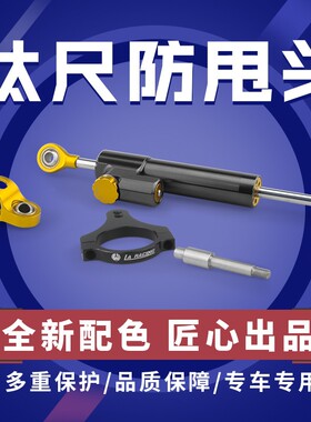 适用钱江追600赛600RR贝纳利黄龙600改装阻尼器钛尺仿甩头支架