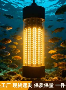 1GYP2-24V高亮大功10W空结构IP68防水L率E中D诱鱼灯集鱼0灯水下灯