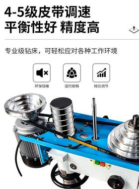 台钻550W轻型小大型家用22功0v工业级率式钻床多功能高台精度迷你