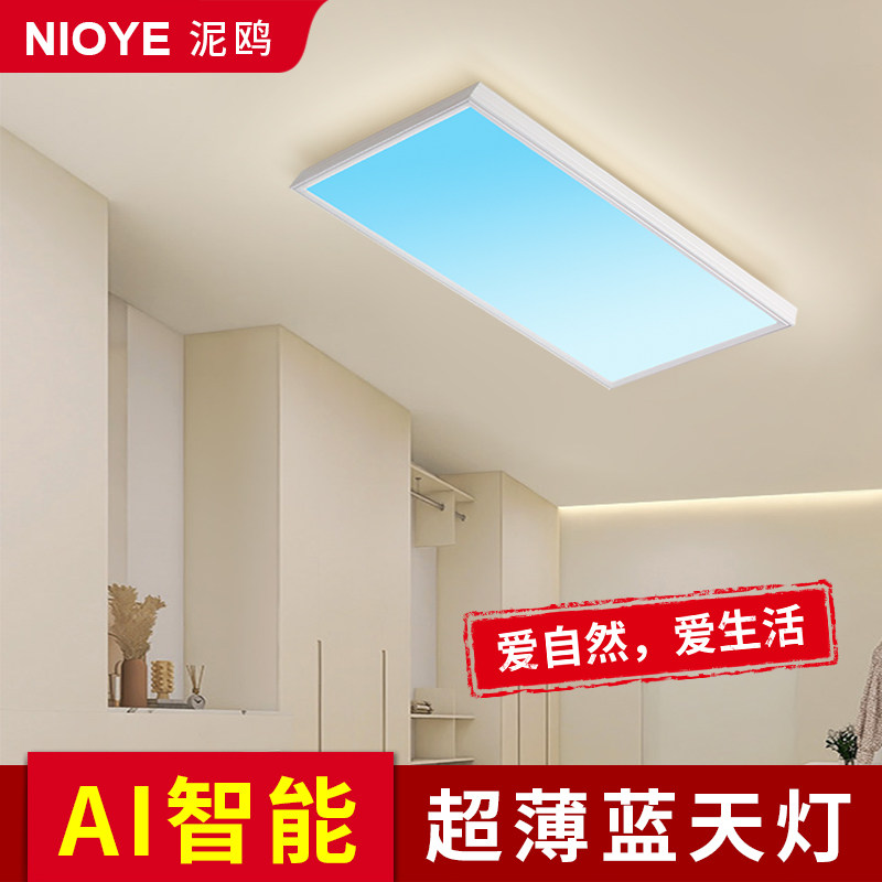 青晴空灯明装极薄无缝吸顶阳台灯2024新款过道灯走廊入户门玄关灯