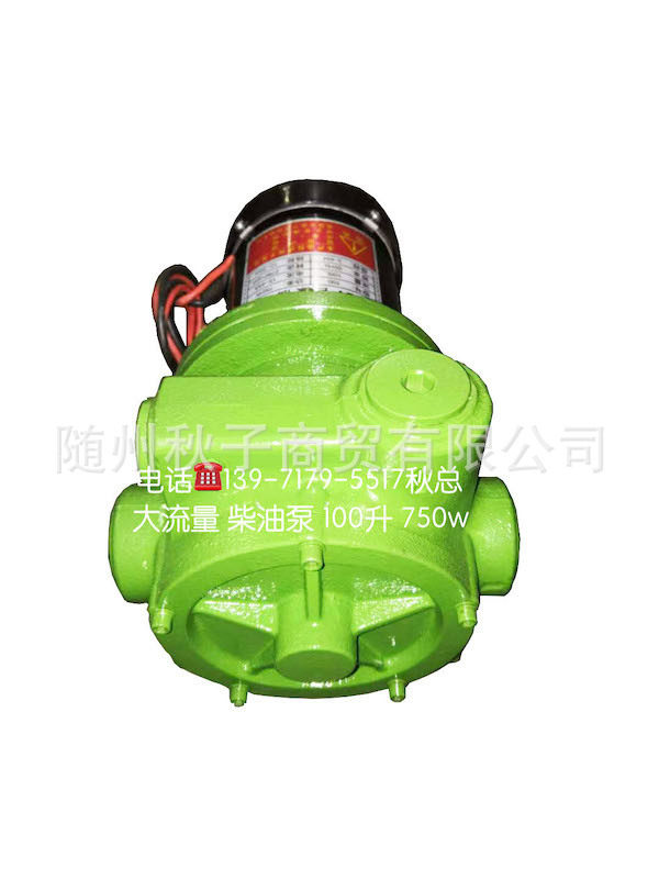 绿色柴油加油泵100升/分钟750W