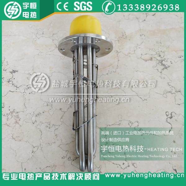 小油箱法BNJ兰加5管热小型高温法兰电热加管DN2电热管