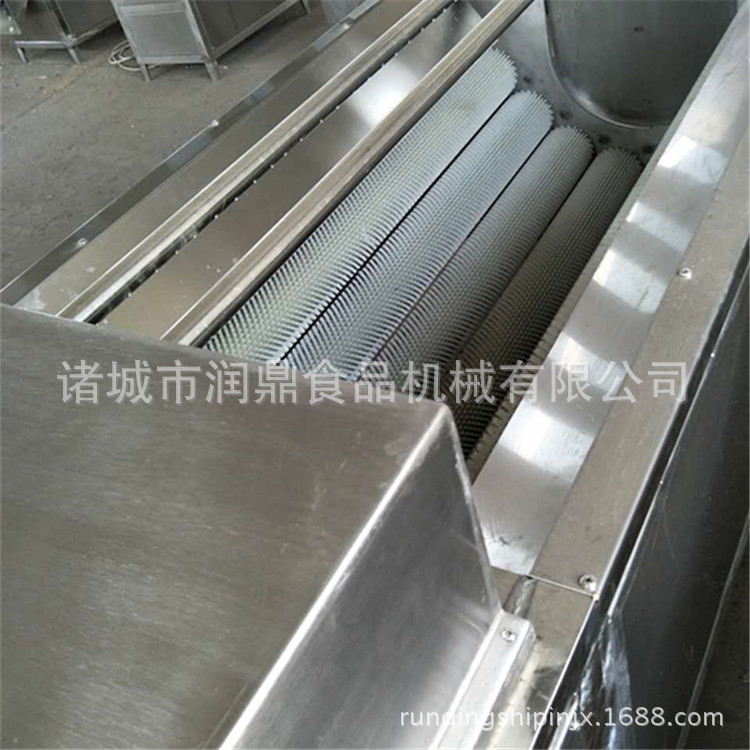 小型毛辊蔬菜清洗机厂家价格