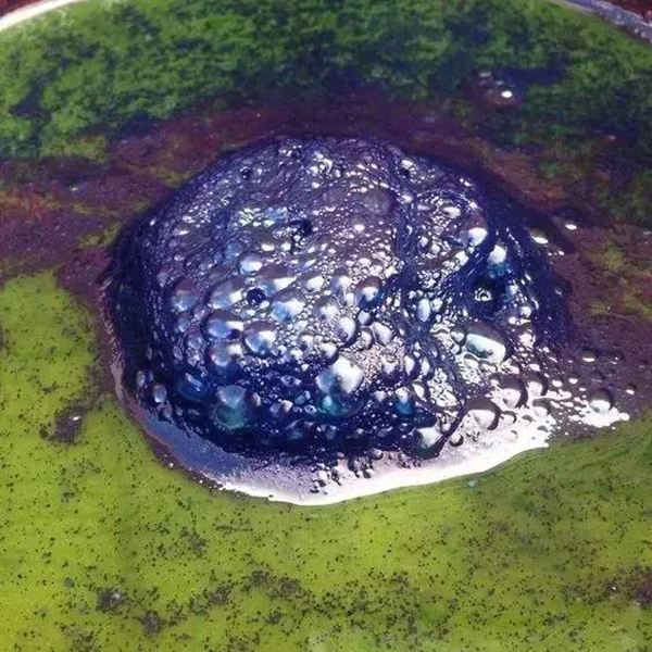 2021新产叶子靛 靛泥 土靛膏 草木染蓝染型糊染蜡染扎染免煮染色