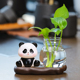 卡通熊猫水培器皿花瓶房间改造物件创意装 饰摆件家居饰品新居礼品