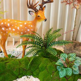 南天竹店仿真绿植室内897外庭院落酒橱窗地高景端造景装饰趣味植