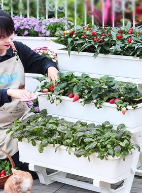 特大号花PEO盆家用料塑种菜长花箱方形多层花架阳台箱菜架子种植