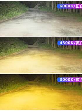 长城赛弗专用汽车ED大灯三色远近光聚K803一H4灯泡光强L光改体装