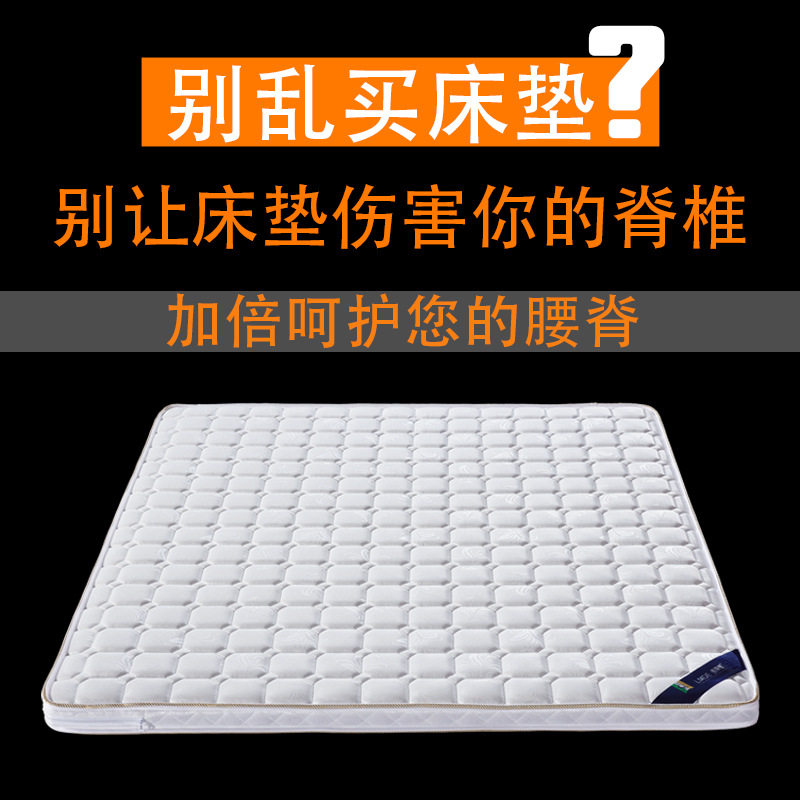 床垫椰棕天然棕垫硬垫棕榈偏硬家用护脊椎榻榻米折叠席梦思加硬垫