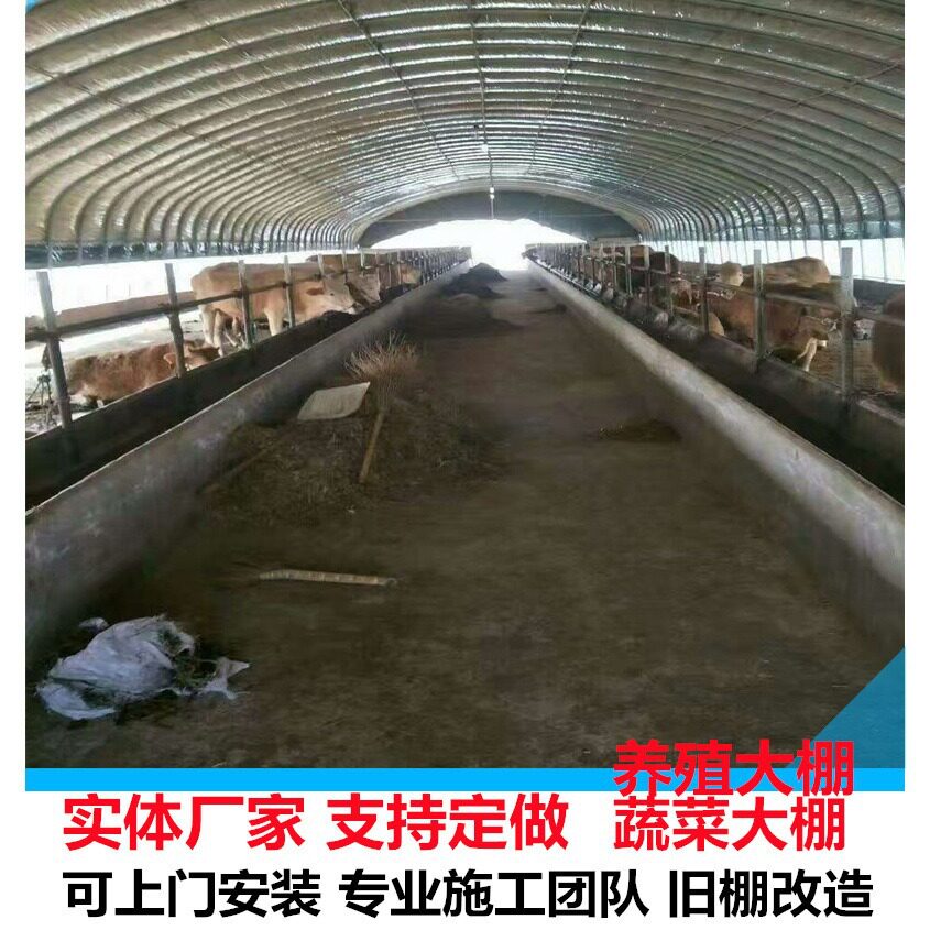 养殖大棚配件 不生锈的管头连接件 养羊的大棚 羊舍大棚