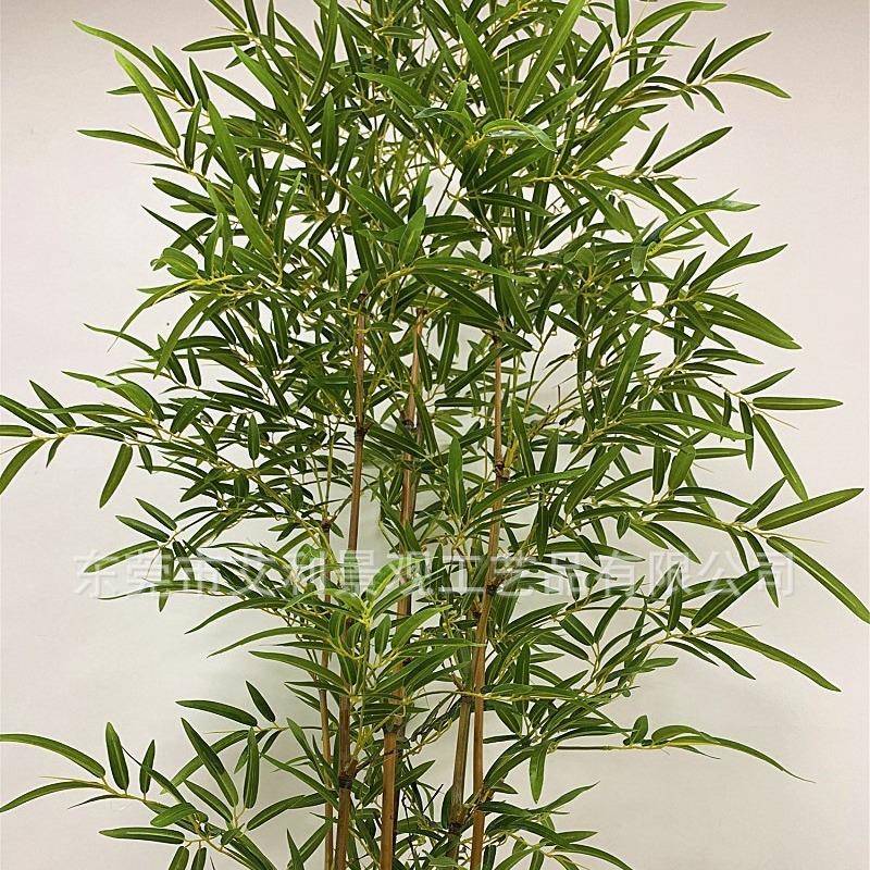 竹子装盆酒店客厅自然细竹水屏风隔断假竹栽子植物摆AL-ZZ-01饰件