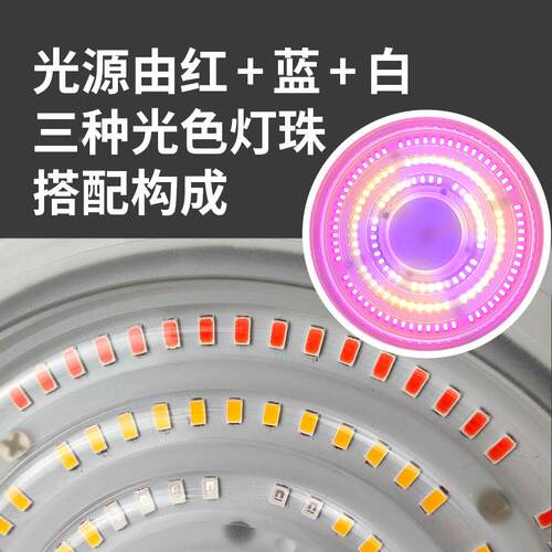 100W棚植物大生长铸灯蓝莓樱FFT桃冬玫枣瑰补光用LED全光谱压防水