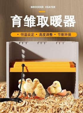 跨新品小鸡板加热板育雏箱暖器取养殖发DDO热境小鸡育雏亭育雏器