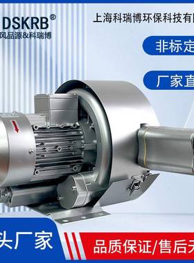 4W673废水处理曝气鼓机-RB52S-2水处理高压鼓风机风真空上料K真空