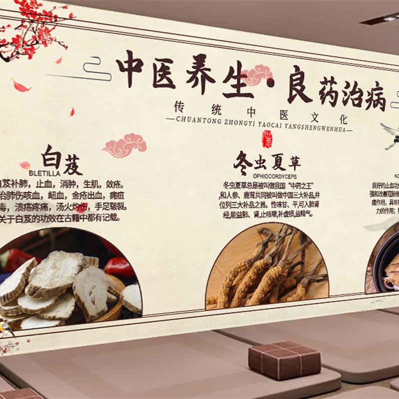 中医养生文化墙四季春夏秋冬海报背景墙壁纸美容理疗馆墙纸壁画