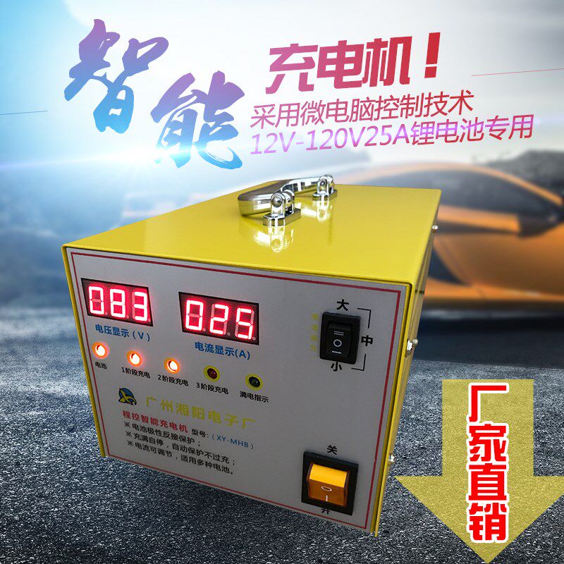 湘阳25A电动四轮机观光车代步车巡逻车磷酸铁锂电池双显示充电器