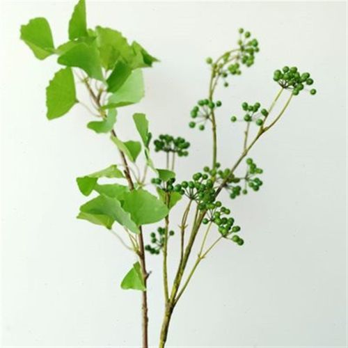 夏季清爽简约出口仿真叶草假花绿植家居装饰银杏叶绿果样房花材