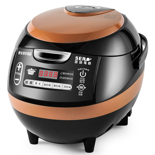 瑟诺珍珠锅SZ F06商用唐雅奶茶店全自动煮珍珠保温专用锅煮粉圆锅