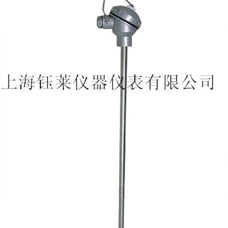 高精度PT100热电阻传感器 进口热电偶/温度传感器