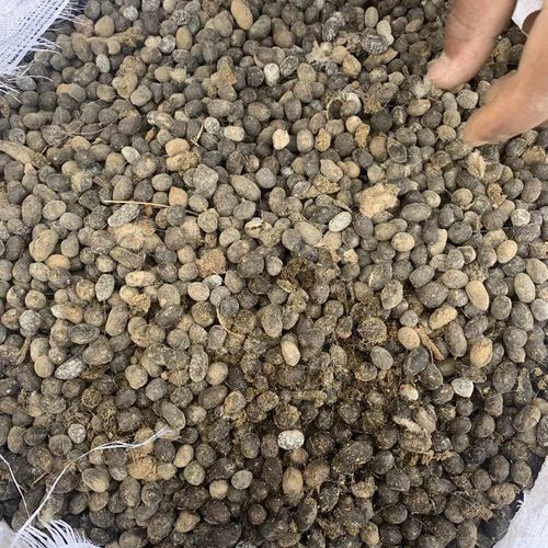 纯羊粪发酵有机肥料100斤生物肥瓜果花卉专用腐熟羊粪颗粒农家肥