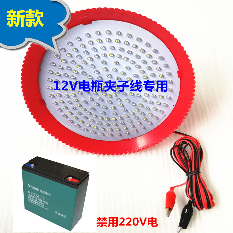 LED低压生鲜灯v3v0v夜市摆地摊猪肉水果卤菜海鲜熟食灯泡