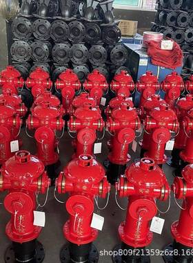 室消火栓SS10/SS100/656外5-1.6地式0SS150/80不上锈钢耐用