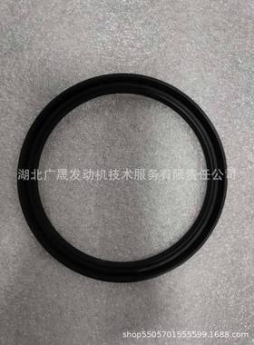QS发T30动机挖机柴油机零件防尘密垫封333GQC31663气及缸部件