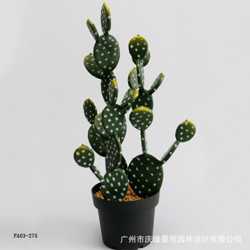 仿真仙人掌龙骨刺仙人柱装饰造景