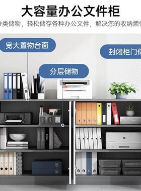 办公CBG0081室文柜资料小家柜档案凭证资料收纳柜件矮柜储物柜用