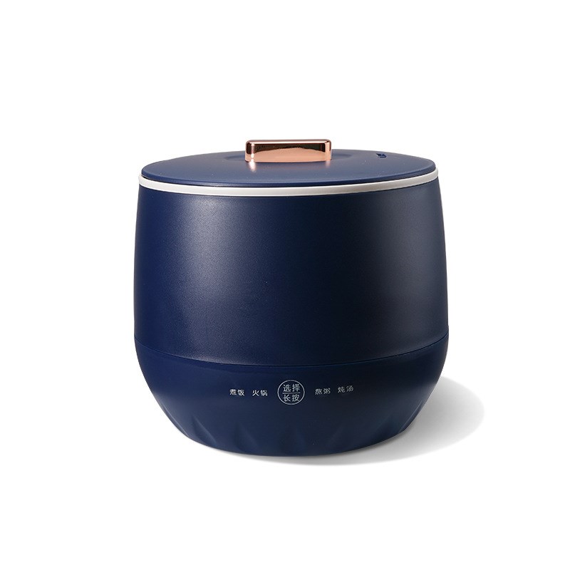 迷你电饭煲学生宿舍多功能可蒸煮一体家用小电饭煲1到2人电火锅