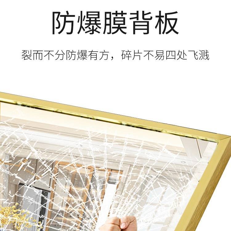 网红直播全身镜镜子带支架试衣间高清大镜子服装店卧室简约落地镜