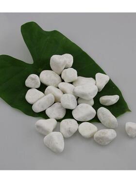 天然鹅卵石地面造铺装材料砾彩水色洗石XVZ景石园林防滑步道石子