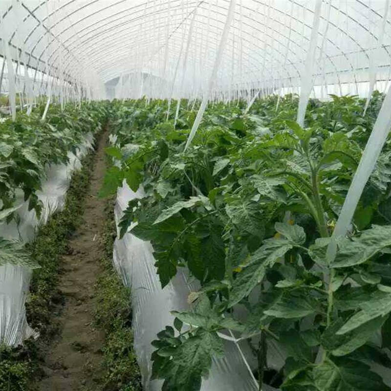 银黑色地膜除草膜保湿膜反光膜农用薄膜0.8-3米/卷10公斤除草膜