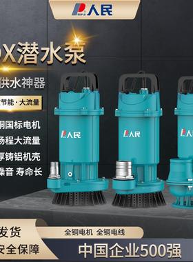 人民2电器潜水泵22960V清水泵大径家用抽泵大功率农用水灌溉口排