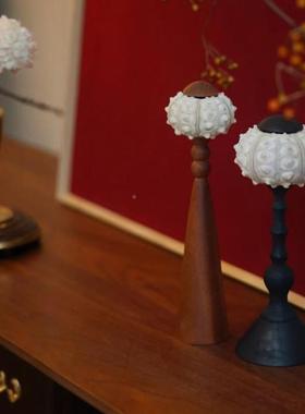 店中ES-A6464古摆老钱风贝装饰件样板间酒书房书桌书柜创意海壳胆