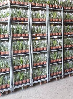 鲜花小搬运车花卉基地周台转台车园艺工具VYS车盆栽周转花卉车