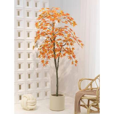 植枫物内枫树红假树大地型室盆栽家居客厅橱窗AL100362造景装饰落